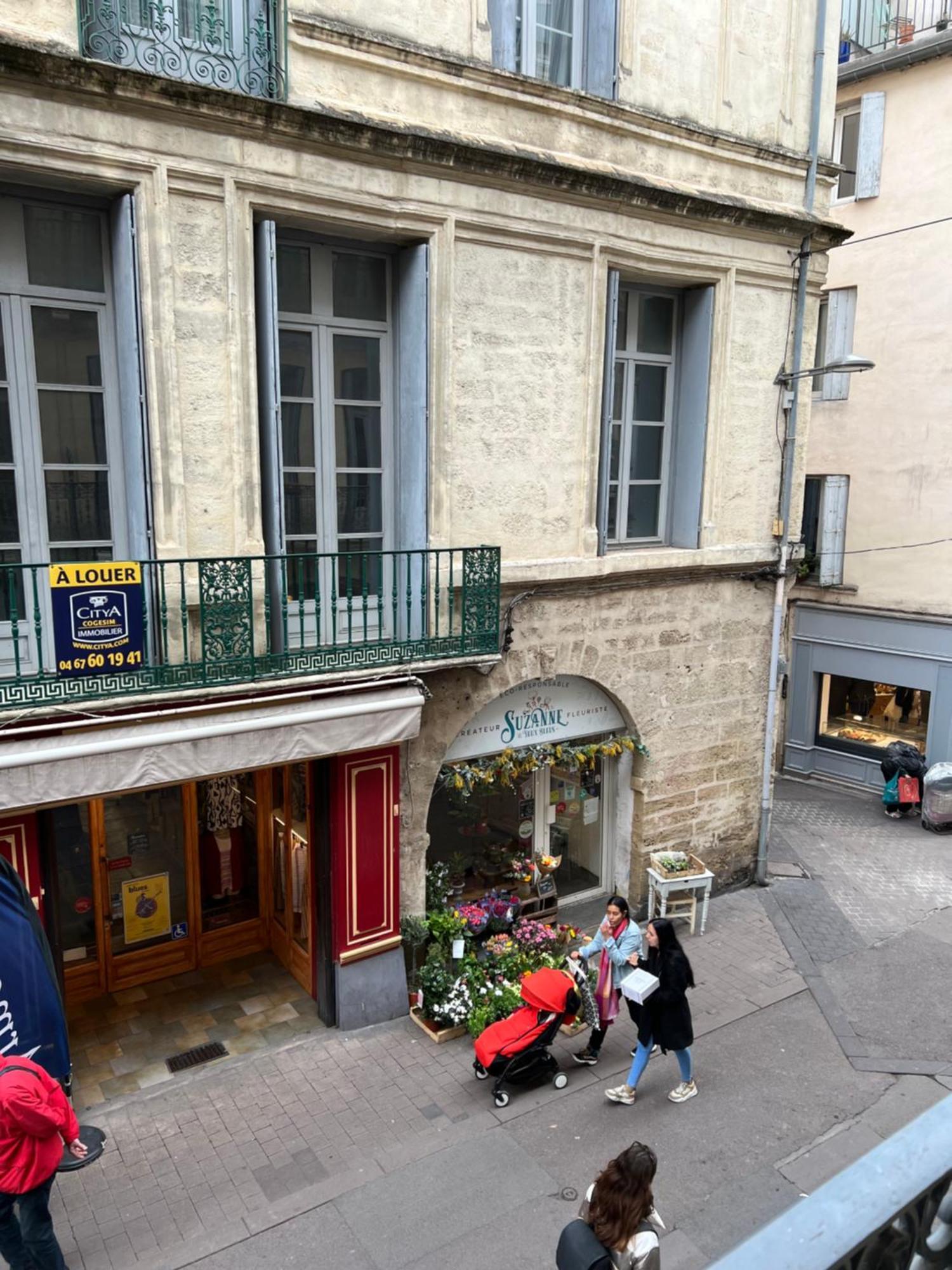 Centre Historique Rue Saint Guilhem Διαμέρισμα Μονπελιέ Εξωτερικό φωτογραφία